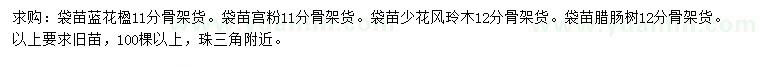 求購藍花楹、宮粉、少花風玲木等