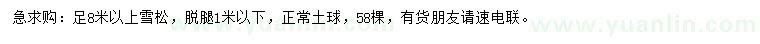 求購足8米以上雪松