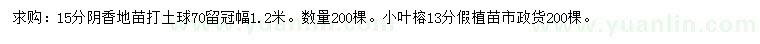 求購15公分陰香