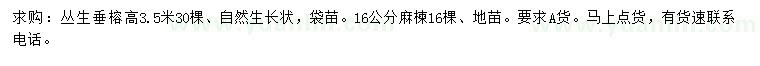 求購16公分麻楝、高3.5米叢生垂榕