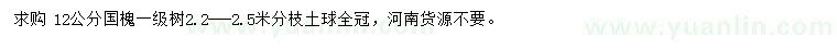 求購12公分國槐