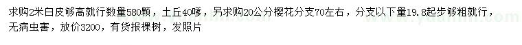 求購2米白皮、20公分櫻花
