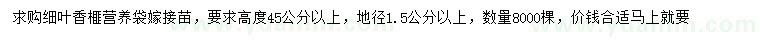 求購地徑1.5公分以上細葉香榧