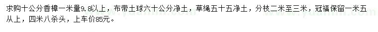 求購1米量10公分香樟