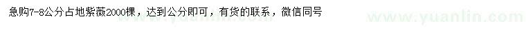 求購(gòu)7-8公分占地紫薇