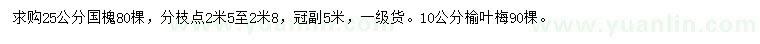 求購(gòu)25公分國(guó)槐、10公分榆葉梅