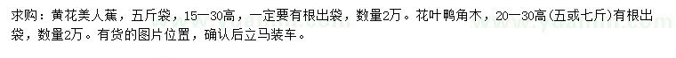 求購高15-30公分黃花美人蕉、20-30公分花葉鴨角木