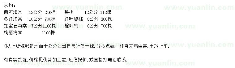 求購海棠、紅葉碧桃、榆葉梅等