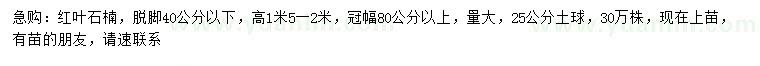 求購(gòu)高1.5-2米紅葉石楠