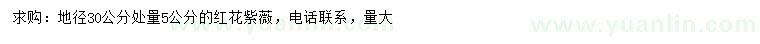 求購(gòu)地徑30公分處量5公分紅花紫薇