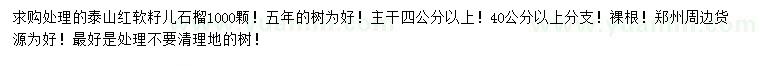 求購(gòu)泰山紅軟籽兒石榴