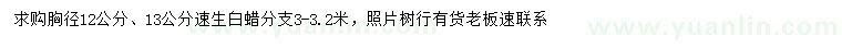 求購(gòu)胸徑12、13公分速生白蠟