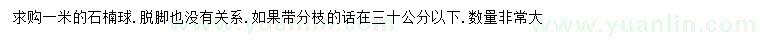 求購1米石楠球