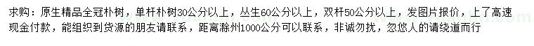 求購精品樸樹