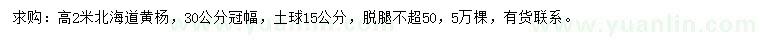 求購高2米北海道黃楊