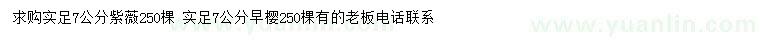 求購7公分紫薇、早櫻