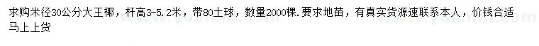 求購米徑30公分大王椰