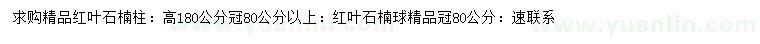 求購高180公分精品紅葉石楠柱、紅葉石楠球