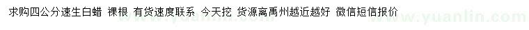 求購(gòu)4公分速生白蠟