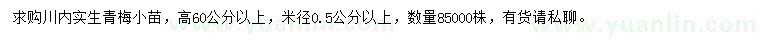 求購米徑0.5公分以上青梅