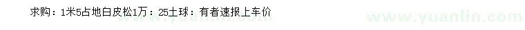 求購1.5米白皮松
