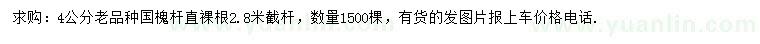求購4公分國槐