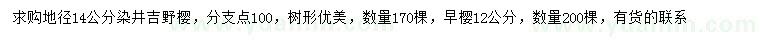 求購地徑14公分染井吉野櫻、12公分早櫻