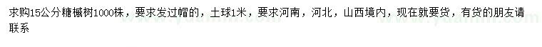 求購15公分糖槭