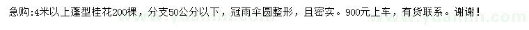 求購蓬型4米以上桂花