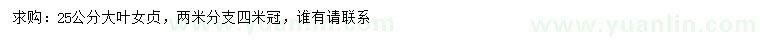 求購(gòu)25公分大葉女貞