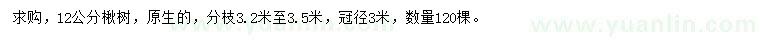 求購12公分楸樹(shù)