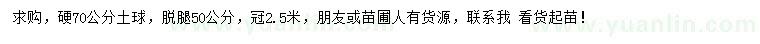 求購高5米雪松