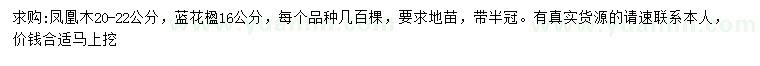 求購(gòu)20-22公分鳳凰木、16公分藍(lán)花楹