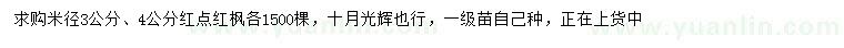 求購米徑3、4公分紅點(diǎn)紅楓
