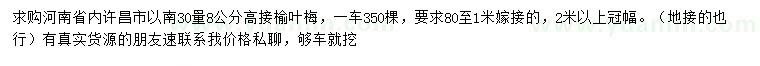 求購30量八公分高接榆葉梅