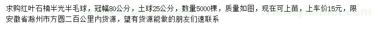 求購冠幅80公分紅葉石楠