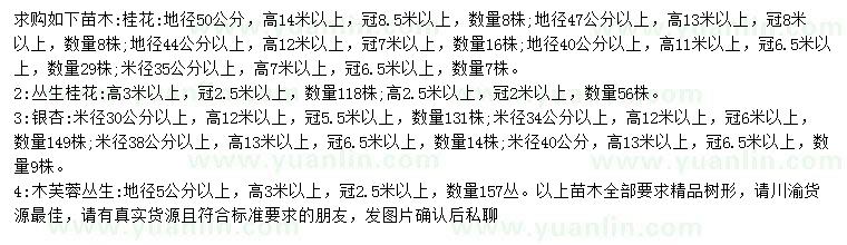 求購桂花、叢生桂花、銀杏等