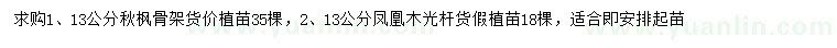 求購(gòu)13公分秋楓、鳳凰木