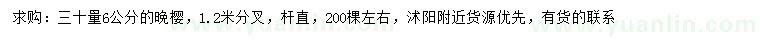 求購30公分量6公分晚櫻