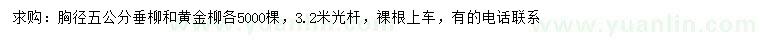 求購胸徑5公分垂柳、黃金柳