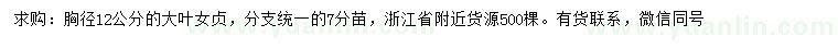 求購胸徑12公分大葉女貞綠化苗木