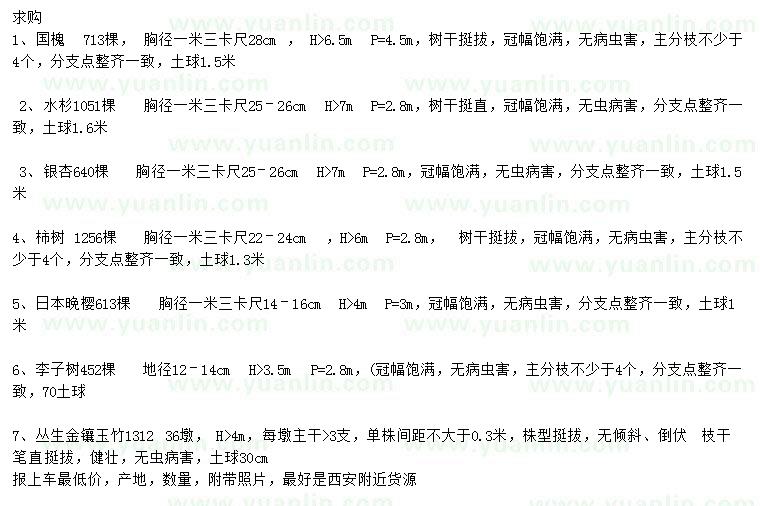 求購國槐、水杉、銀杏等
