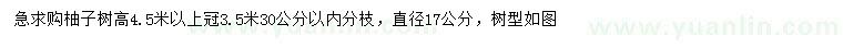 求購直徑17公分柚子樹