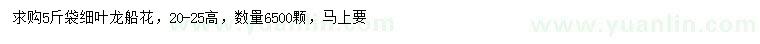 求購高20-25公分細葉龍船花