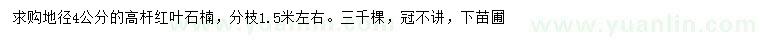 求購地徑4公分高桿紅葉石楠