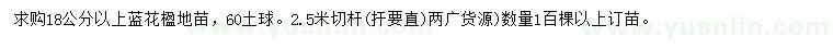 求購(gòu)18公分以上藍(lán)花楹