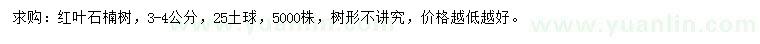 求購(gòu)3-4公分紅葉石楠