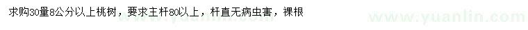 求購30公分量8公分以上桃樹