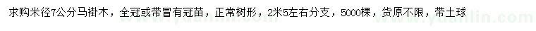 求購米徑7公分馬褂木