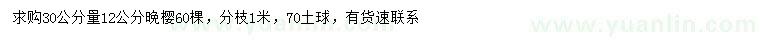 求購30公分量12公分晚櫻